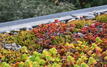 the cost of Glynllan green roof installation