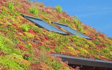 Glynllan living roof systems